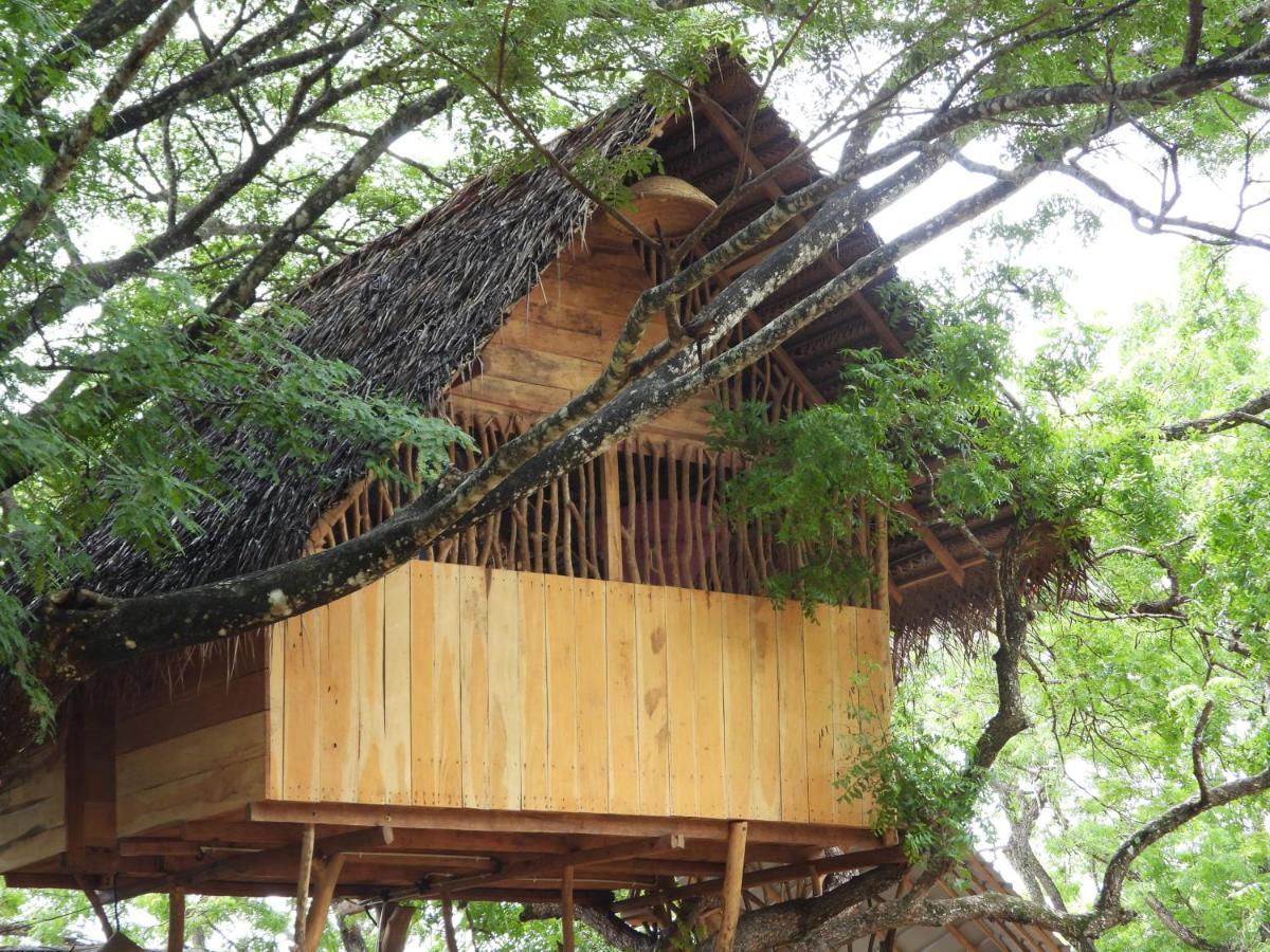 Yala Village Eco Tree House Tissamaharama Eksteriør billede