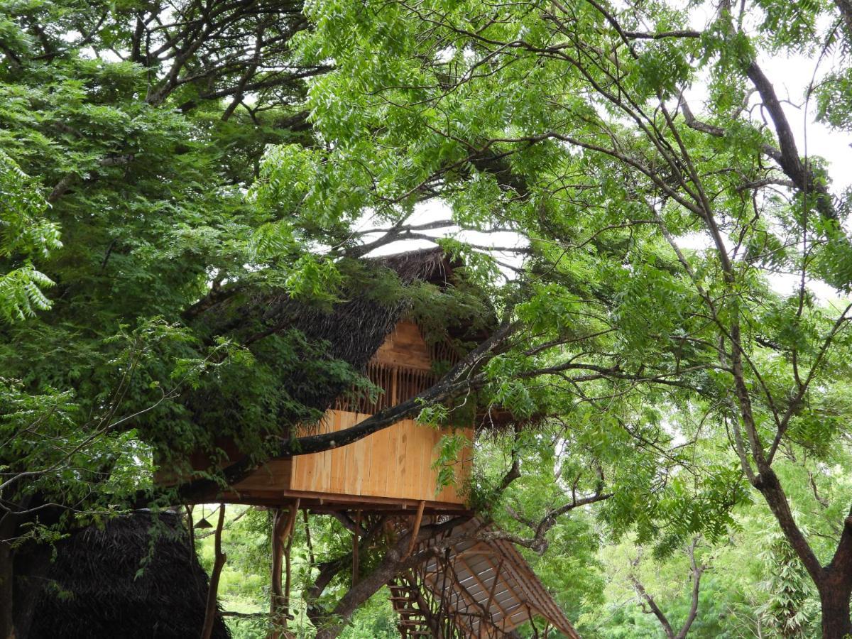 Yala Village Eco Tree House Tissamaharama Eksteriør billede