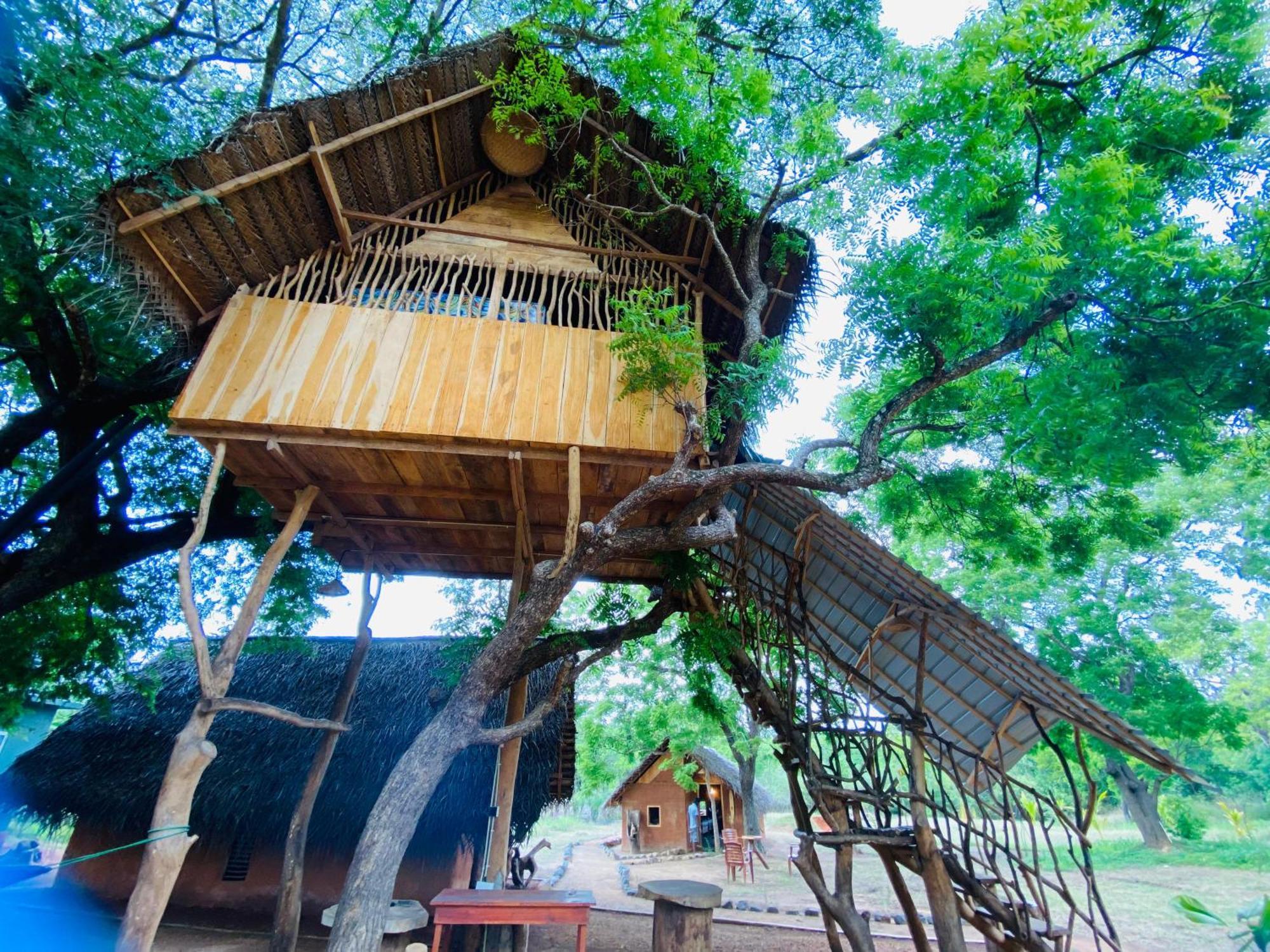 Yala Village Eco Tree House Tissamaharama Eksteriør billede
