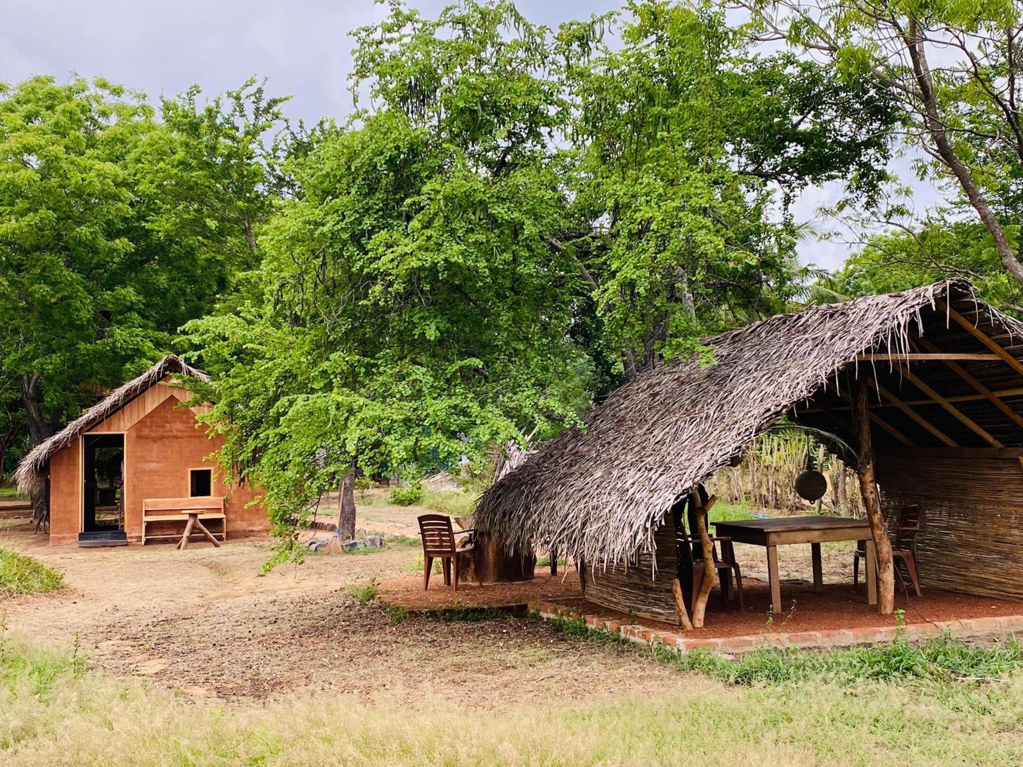 Yala Village Eco Tree House Tissamaharama Eksteriør billede