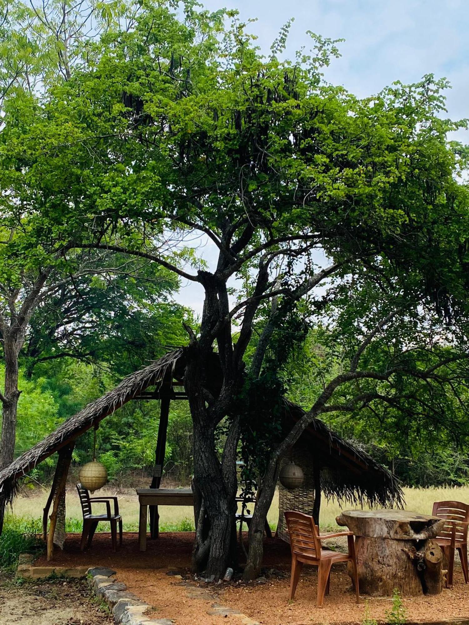 Yala Village Eco Tree House Tissamaharama Eksteriør billede