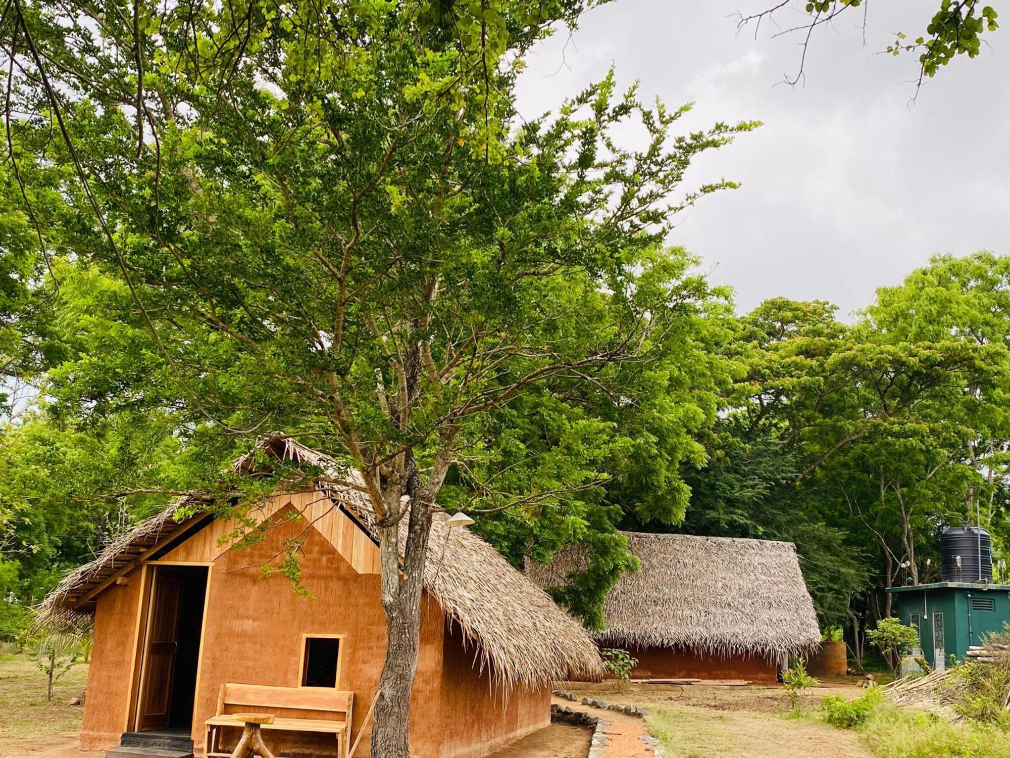 Yala Village Eco Tree House Tissamaharama Eksteriør billede